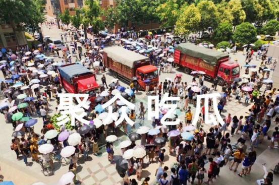 大学校园吃瓜网站在线观看免费,免费在线观看，揭秘大学校园生活点滴  第2张